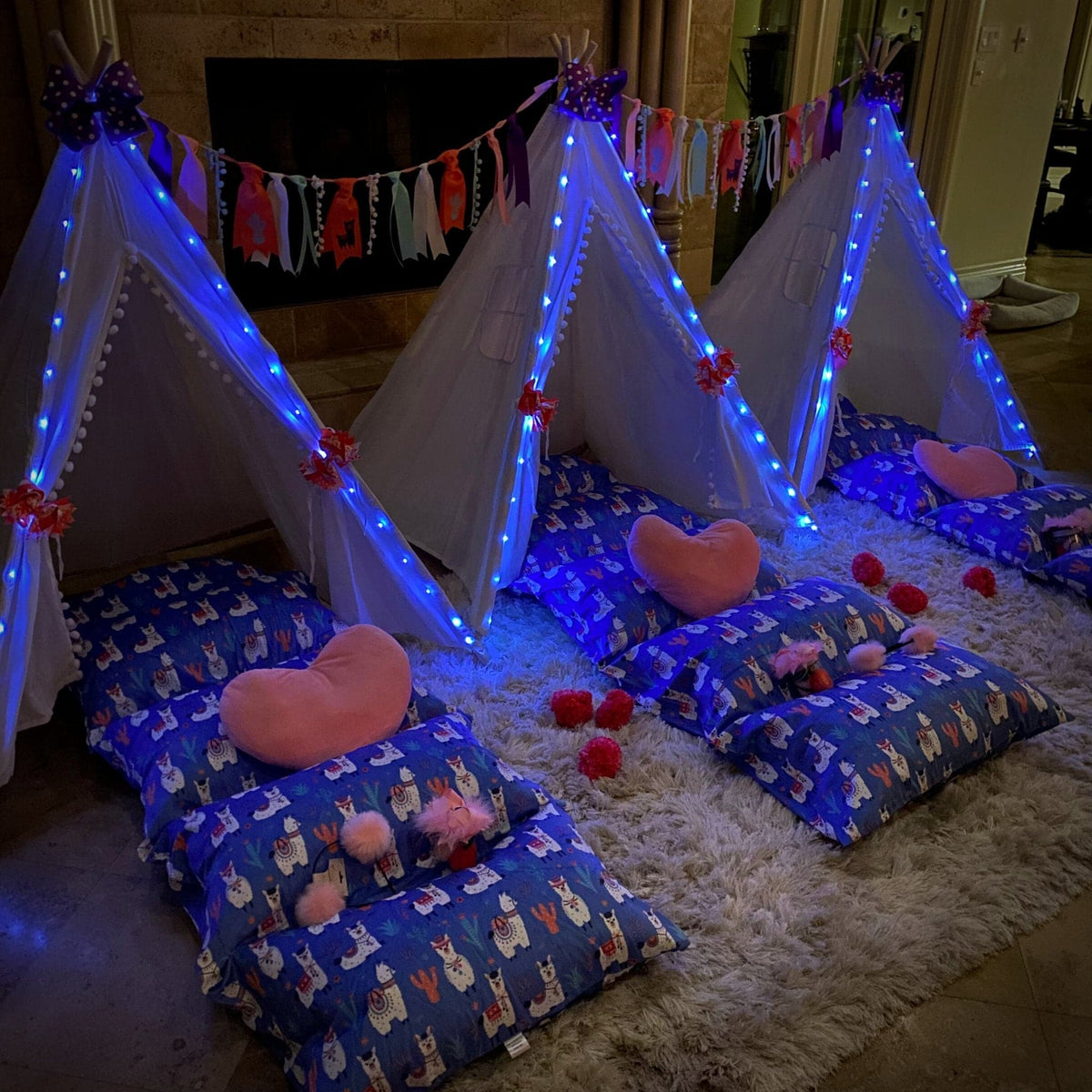 Llama Sleepover Birthday Party Decorations