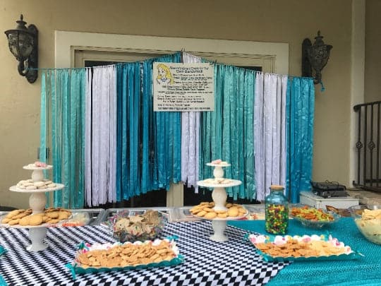 Party Favor - Ribbon Curtain Photo Booth Backdrops